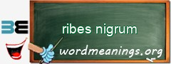 WordMeaning blackboard for ribes nigrum